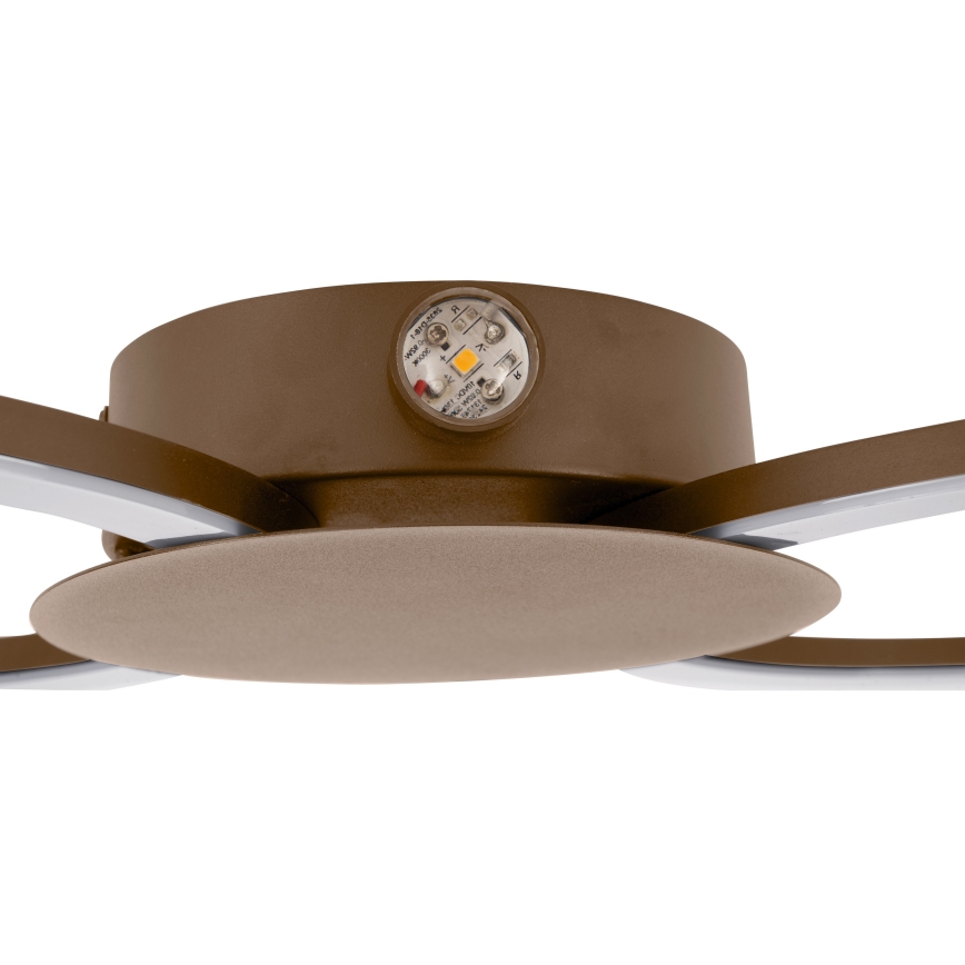 Eglo - LED Applique murale LED/20W/230V + LED/0,91W beige