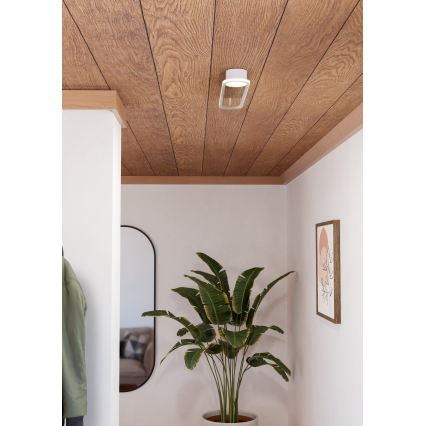 Eglo - Plafonnier LED 24 W / 230 V, 2700/4000/6500 K, blanc