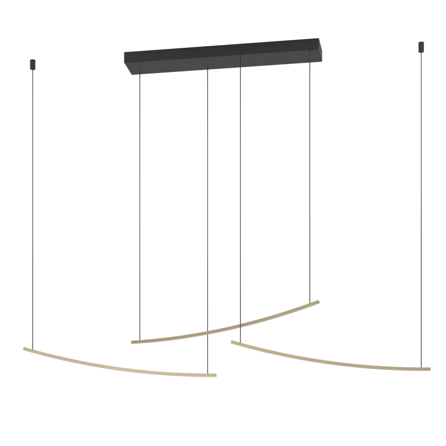 Eglo  - Suspension LED dimmable sur câble LED/22W/230V 2700/4000/6500K dorée