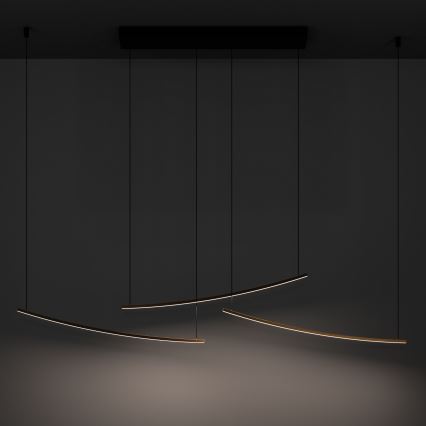 Eglo  - Suspension LED dimmable sur câble LED/22W/230V 2700/4000/6500K dorée