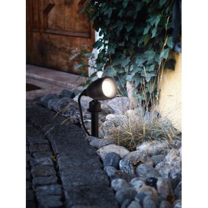 Eglo - Lampe d'extérieur LED 1xGU10/3W/230V IP44