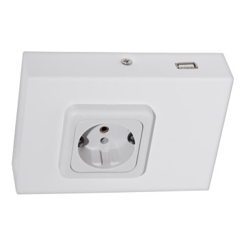 Eglo 94665 - Prise électrique pour meuble de cuisine SCHUKO avec USB TAXANO