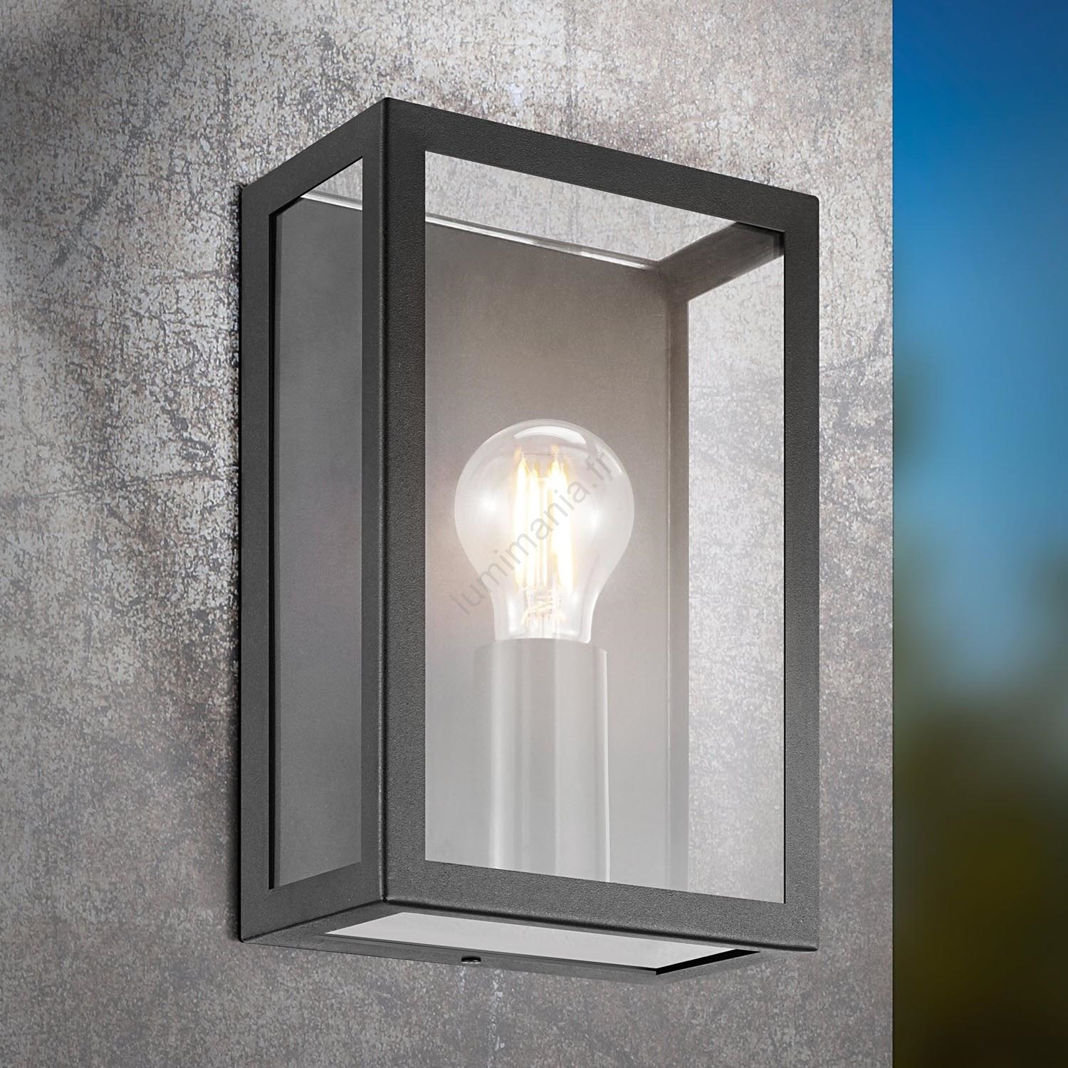 Eglo 94831 Lampe dextérieur Noir Eglo 94831 Lampe dextérieur Noir