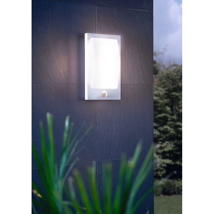 Eglo - Applique murale extérieure avec détecteur 1xE27/12W/230V IP44 chrome mat