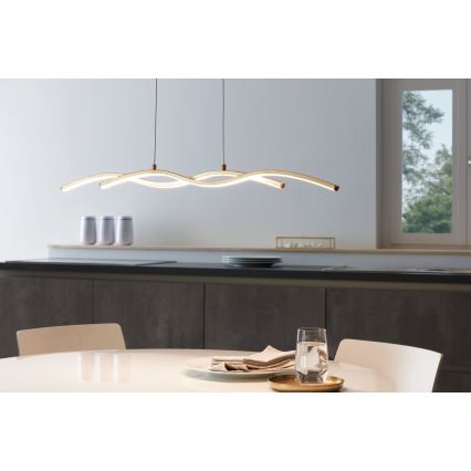 Eglo - Lustre LED avec fil 2xLED/8,5W/230V