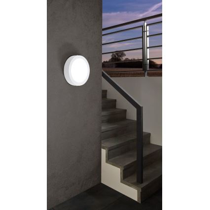 Eglo - Luminaire LED extérieur à intensité variable ARGOLIS-C LED/16,5W/230V IP44