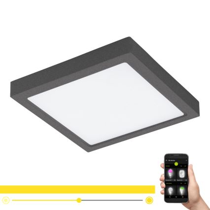 Eglo - Luminaire LED extérieur à intensité variable ARGOLIS-C LED/22W/230V IP44 Bluetooth