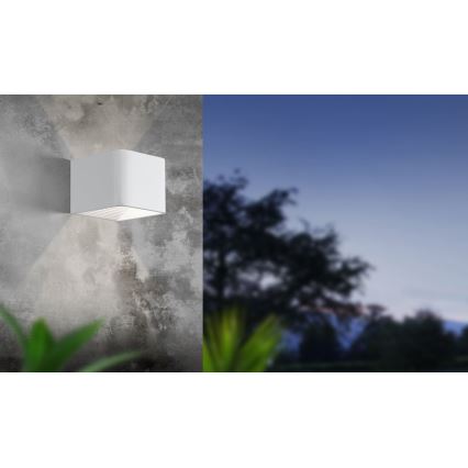 Eglo - Applique murale extérieure LED/6W/230V IP55