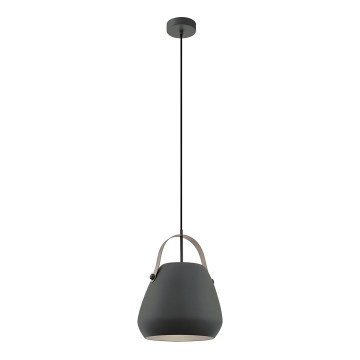 Eglo 98349 - Suspension sur câble BEDNALL 1xE27/60W/230V
