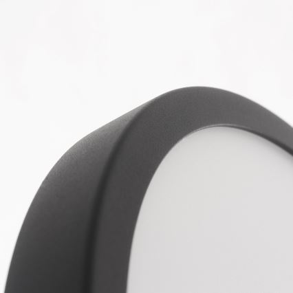 Eglo - Plafonnier LED pour salle de bains LED/20W/230V IP44 diam. 28,5 cm