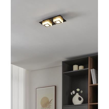 Eglo 99362 - Plafonnier LED MASIANO 2xLED/3,3W/230V