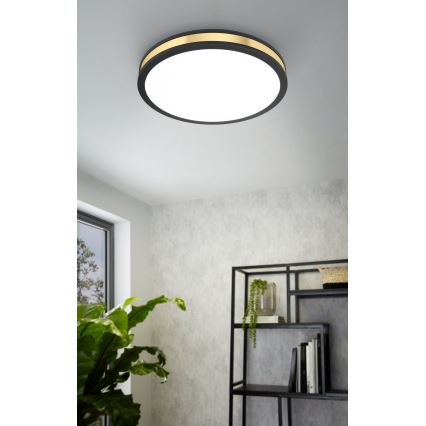 Eglo - Plafonnier LED LED/24W/230V