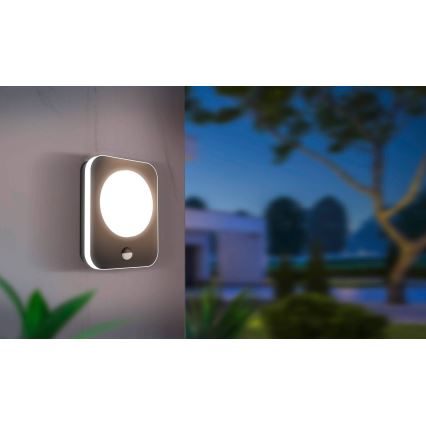 Eglo - Applique murale LED extérieur avec capteur  LED/9W/230V IP44