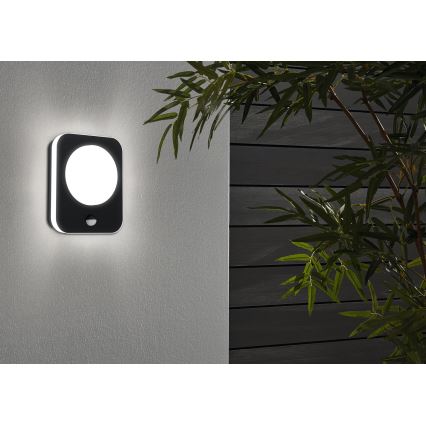 Eglo - Applique murale LED extérieur avec capteur  LED/9W/230V IP44