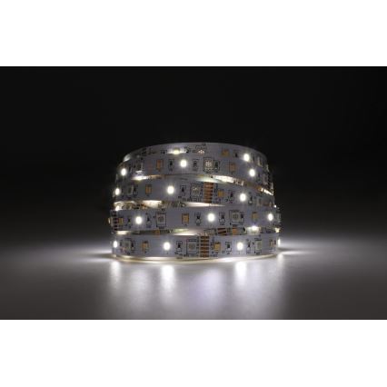 Eglo - Ruban RGBW à intensité variable 5m LED/11W/12/230V 2700-6500K ZigBee