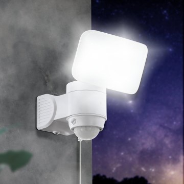 Eglo - Applique Solaire LED avec Détecteur LED/3,7V 1800 mAh IP44