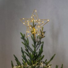 Eglo  - Décoration de Noël extérieure LED 30xLED/0,06W/3xAA IP44