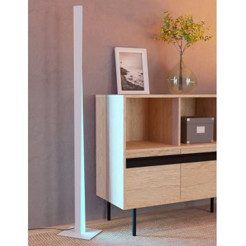 Eglo - Lampadaire dimmable LED RGBW, LED/10,5W/230V + LED/15,2W, gris