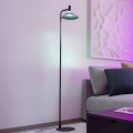 Eglo - Lampadaire LED RGBW dimmable, 7,5 W / 230 V, 2700–6500 K, noir