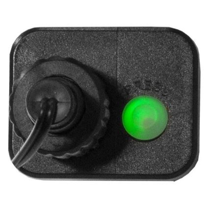 Eglo 472-53 - Guirlande de Noël LED d'extérieur BERRY MINI — 700 LED, 8 fonctions, 19 m, multicolore, IP44