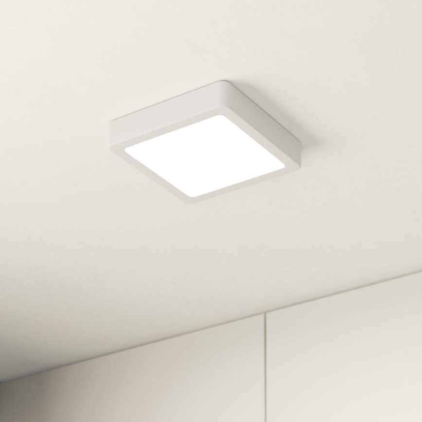 Eglo - LED Plafonnier LED/10,5W/230V 16x16 cm