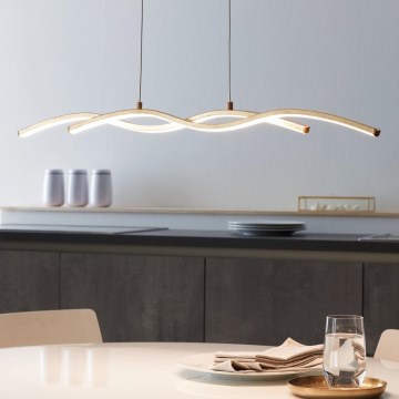 Eglo - Lustre LED avec fil 2xLED/8,5W/230V