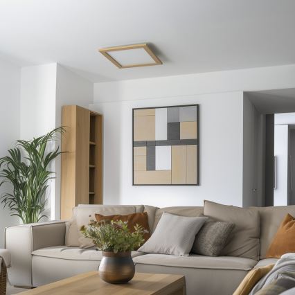 Eglo - Panneau LED RGB dimmable à montage en surface SALOBRENA-C WOOD LED/40W/230V 2700-6500K 49,5x49,5 cm marron + télécommande