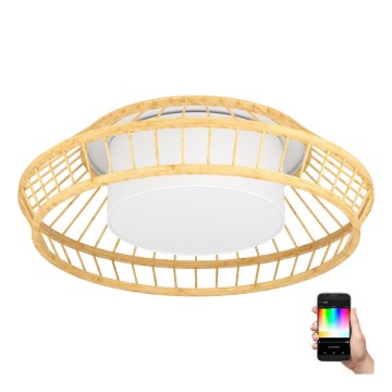 Eglo - Plafonier RGBW à intensité variable LED/22W/230V 2700-6500K