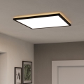 Eglo - Plafonnier extérieur LED/17W/230V 2700/4000/6500K 50x50 cm IP44 noir