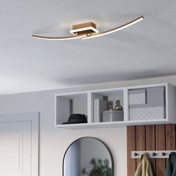 Eglo - Plafonnier LED/12W/230V 4000K cuivre