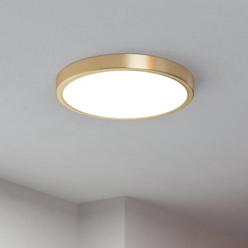 Eglo - Plafonnier LED/20,5W/230V diam. 28,5 cm