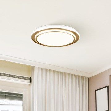 Eglo - Plafonnier LED 36 W, 230 V, températures de couleur commutables 2700/4000/6500 K, Ø 49 cm, finition dorée