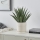 Eglo - Plante artificielle dans un pot de fleurs 36,5x25,5 cm