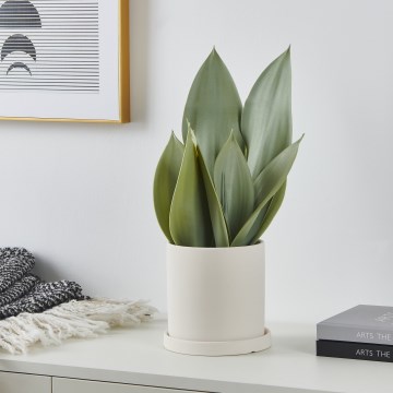 Eglo - Plante artificielle dans un pot de fleurs 41,5x28,5 cm