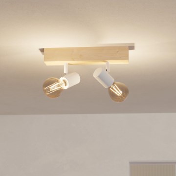 Eglo - Spot TOWNSHEND 2xE27/60W/230V - FSC certifié