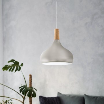 Eglo - Suspension 1xE27/60W/230V d. 28 cm argent