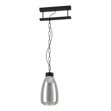 Eglo - Suspension avec chaîne 1xE27/40W/230V