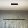 Eglo - Suspension dimmable à LED sur câble, 30W/230V, noir + télécommande
