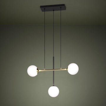 Eglo - Suspension filaire 3xE14/40W/230V doré/noir