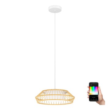 Eglo - Suspension filaire RGBW à intensité variable LED/22W/230V 2700-6500K