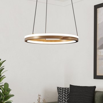 Eglo - Suspension LED dimmable sur câble 2xLED/20W/230V 2700-6500K Ø 48 cm bronze + télécommande