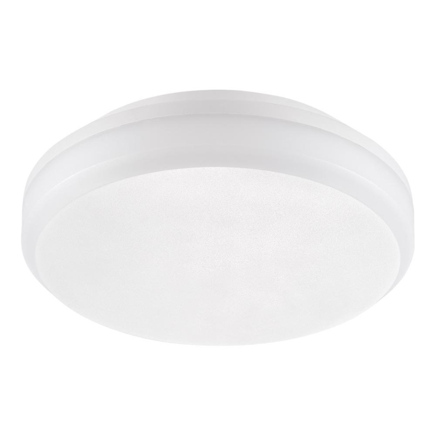 Emithor 63206 - Plafonnier industriel SURFACE 1xLED/20W/230V IP65