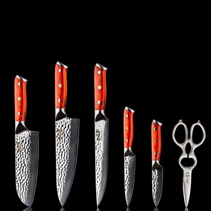 Gudaro - Lot de 5 couteaux de cuisine en acier damassé MIYABI + bloc pour couteaux et ciseaux à volaille