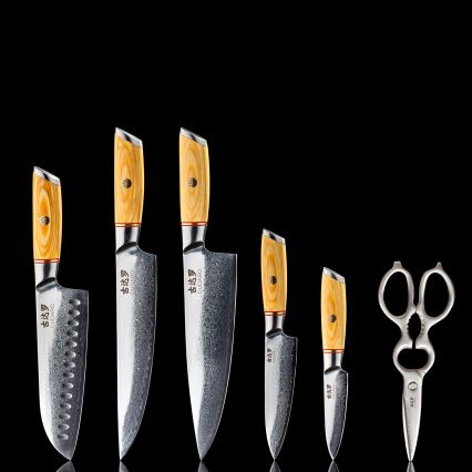 Gudaro - Lot de 5 couteaux de cuisine damassés HIKARI + support pour couteaux et ciseaux à volaille