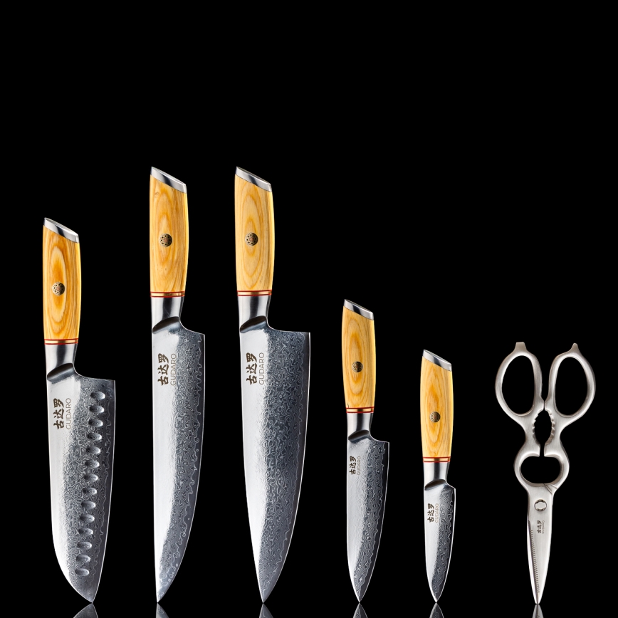 Gudaro - Lot de 5 couteaux de cuisine damassés HIKARI + support pour couteaux et ciseaux à volaille