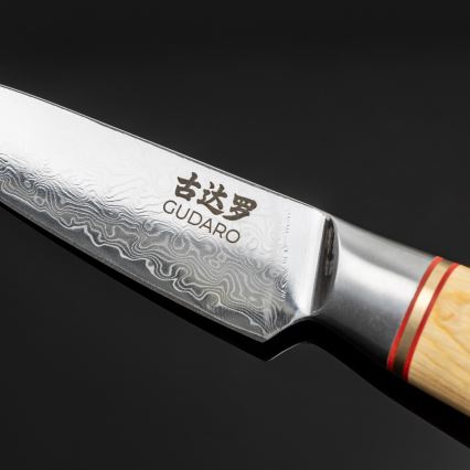 Gudaro - Lot de 5 couteaux de cuisine damassés HIKARI + support pour couteaux et ciseaux à volaille