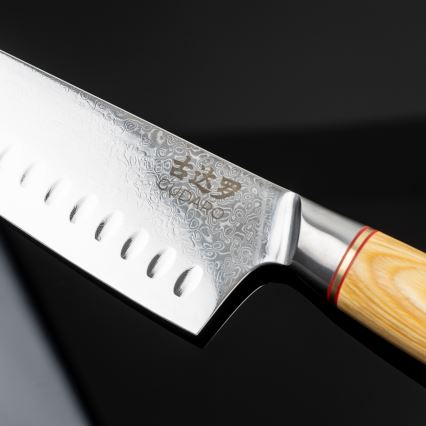 Gudaro - Lot de 5 couteaux de cuisine damassés HIKARI + support pour couteaux et ciseaux à volaille