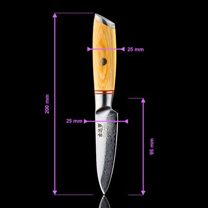 Gudaro - Lot de 5 couteaux de cuisine damassés HIKARI + support pour couteaux et ciseaux à volaille