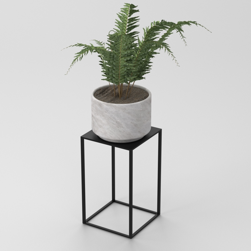 Étagère à plantes 100x24 cm noir