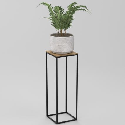 Étagère à plantes 70x24 cm noir